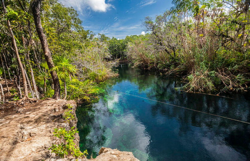 One hectare for sale in Tulum