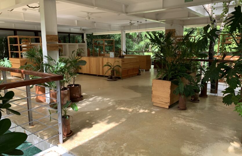TAO TSE Studio for sale in Bahia Principe