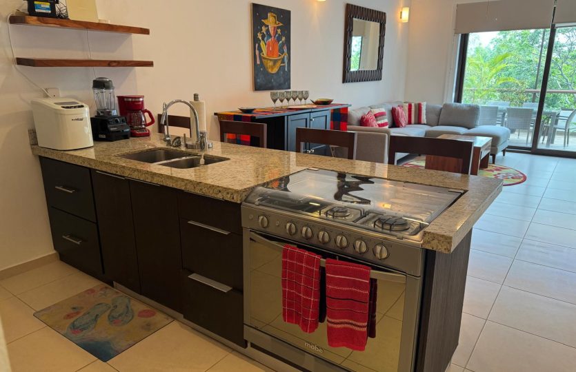 TAO Penthouse Condo for Sale – Fully Furnished with Solar Panels