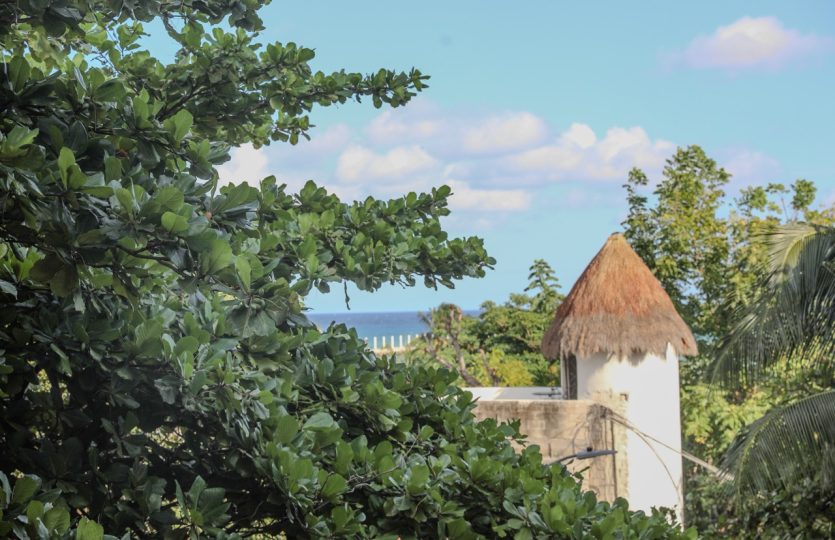 1 Bedroom Condo for Sale at Singular Joy Downtown Playa del Carmen