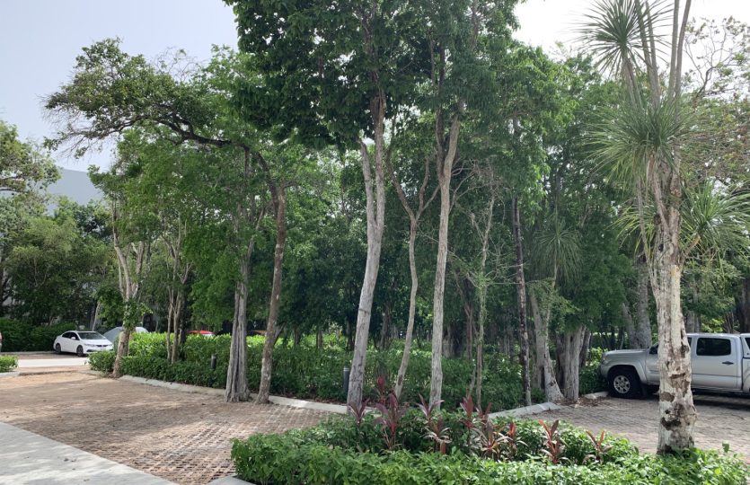 TAO HAI 2 Bedroom Condo for Sale in Bahia Principe