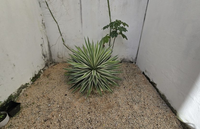 House for Sale in Real Ibiza Playa del Carmen | 2 Bedrooms | Casa Cavallet