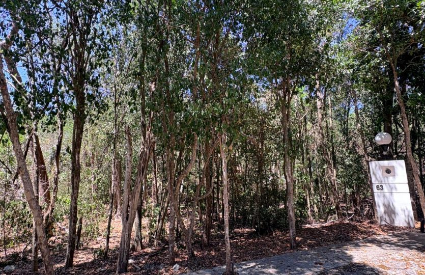 Residential Lot for Sale in Selvamar Playa del Carmen | Gated Community Near Beach