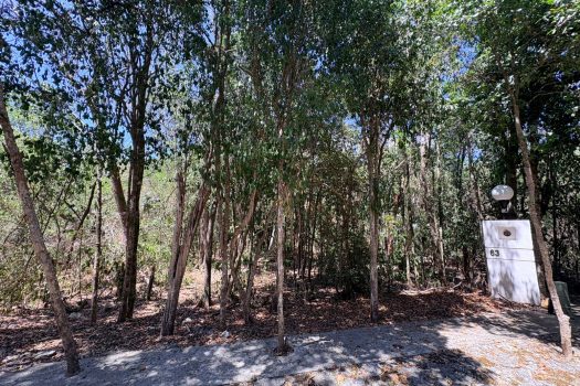 Residential Lot for Sale in Selvamar Playa del Carmen | Gated Community Near Beach