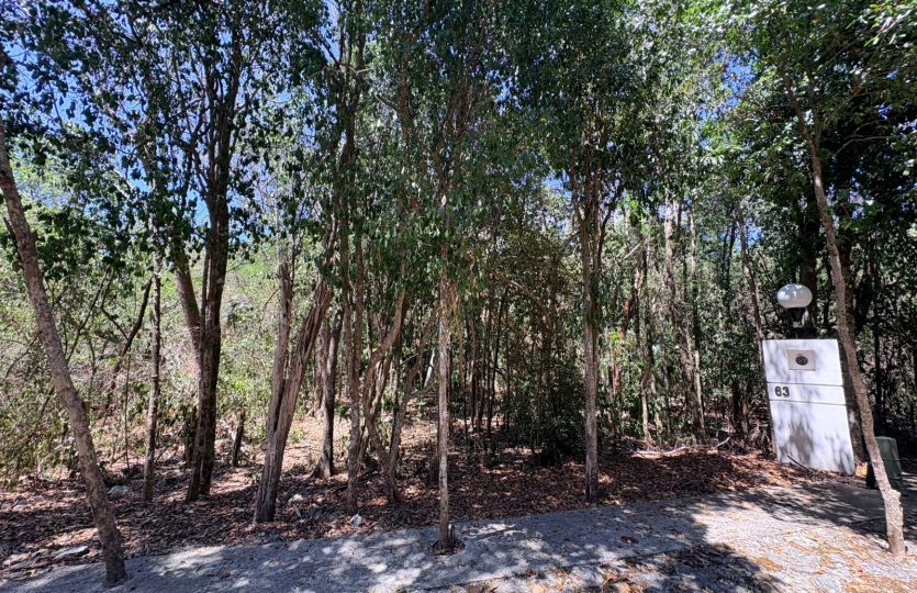 Residential Lot for Sale in Selvamar Playa del Carmen | Gated Community Near Beach
