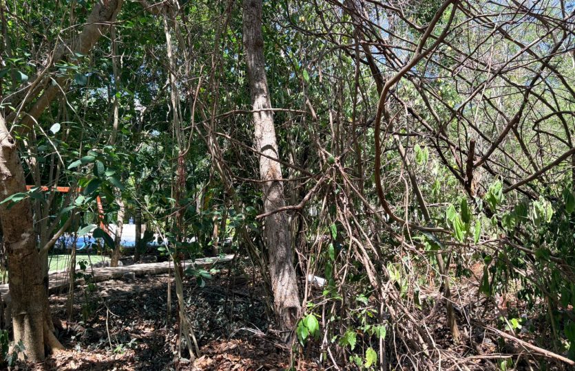 Residential Lot for Sale in Selvamar Playa del Carmen | Gated Community Near Beach