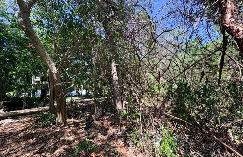 Residential Lot for Sale in Selvamar Playa del Carmen | Gated Community Near Beach