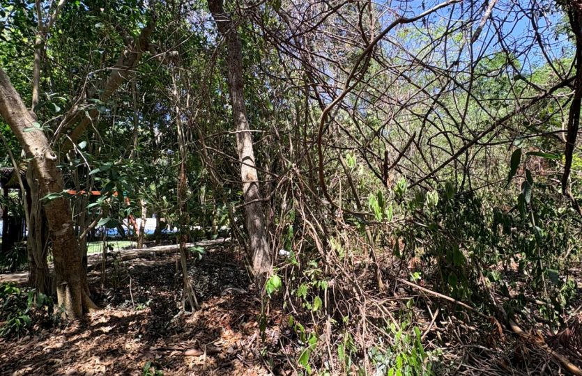 Residential Lot for Sale in Selvamar Playa del Carmen | Gated Community Near Beach