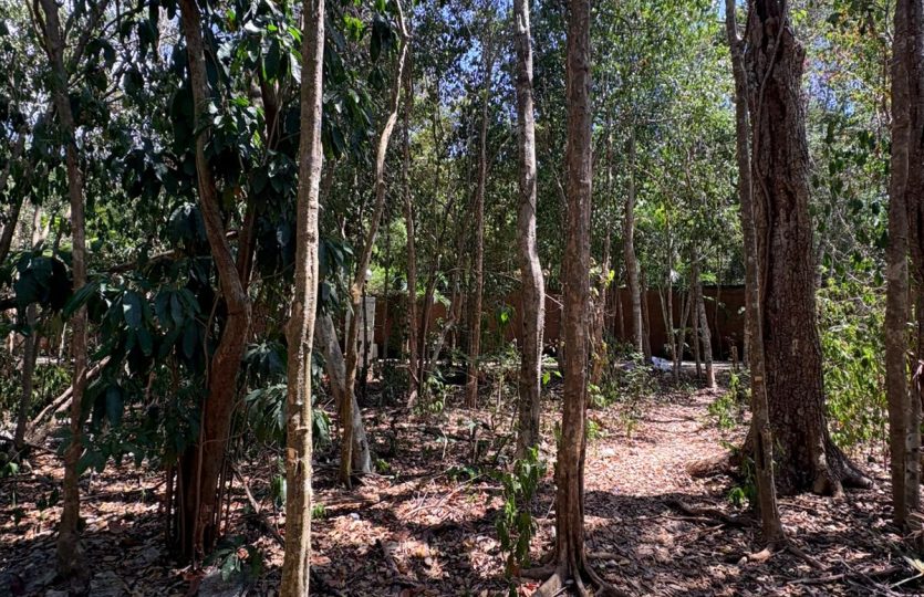 Residential Lot for Sale in Selvamar Playa del Carmen | Gated Community Near Beach