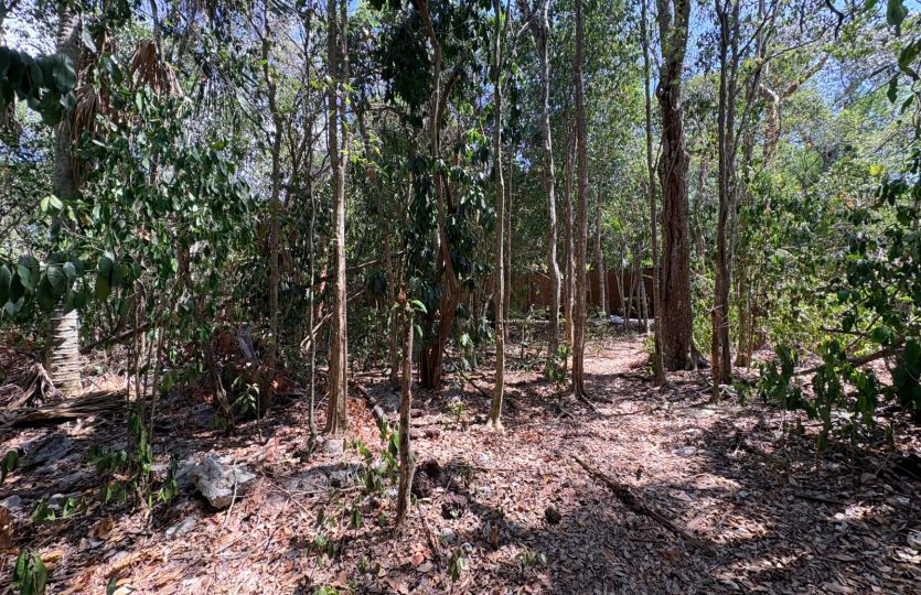 Residential Lot for Sale in Selvamar Playa del Carmen | Gated Community Near Beach
