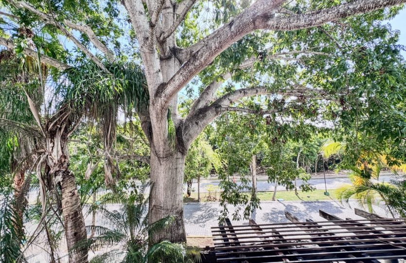 Luxury 5 Bedroom Home for Rent with Private Pool & Studio | Playa del Carmen