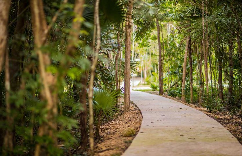 Residential Lot for Sale in Senderos Sur | Ciudad Mayakoba