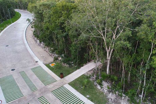 Residential Lot for Sale in Senderos Sur | Ciudad Mayakoba