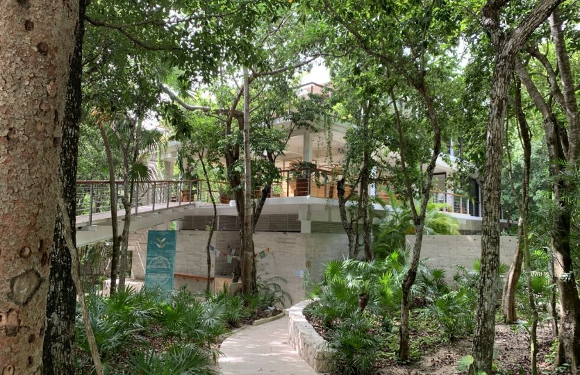 TAO Kin | 2 Bedroom Ground Floor Condo for Sale in Bahia Principe