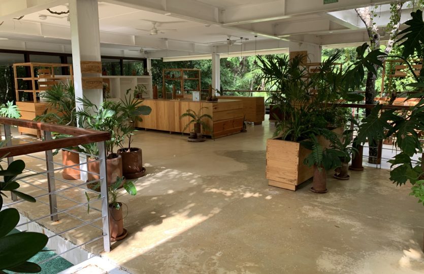 TAO Kin | 2 Bedroom Ground Floor Condo for Sale in Bahia Principe