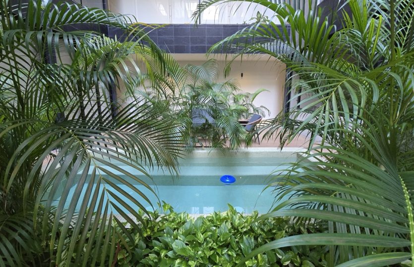Musa del Carmen | Furnished Condo for Sale in Playa del Carmen