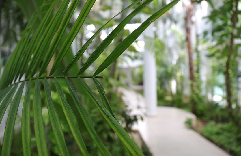 2-Bedroom Condo for Sale at Casa del Mar | Playa del Carmen