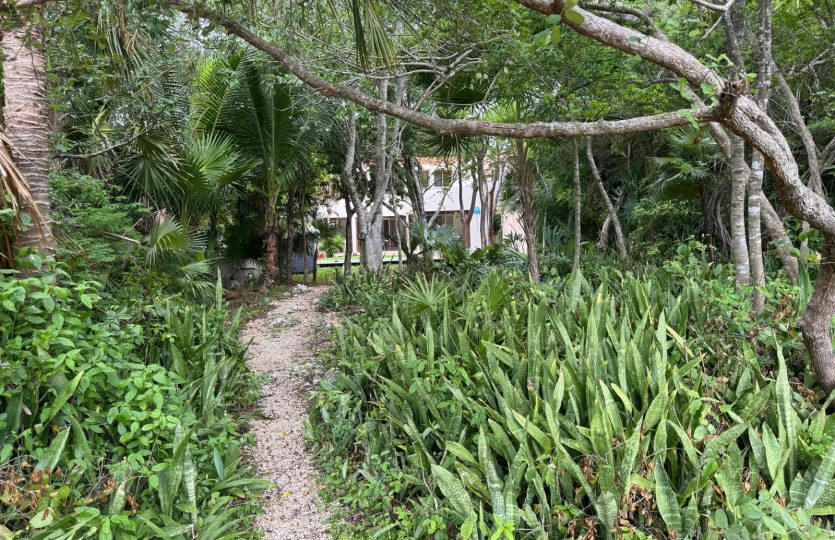Bahia Xaak | 2-Bedroom Home for Sale Puerto Aventuras